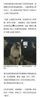 明目张胆打一动物是什么梗？这个答案太好玩了！