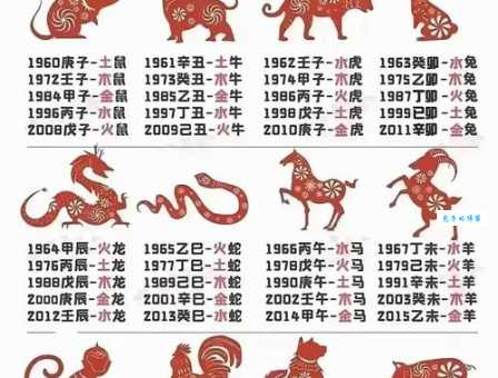 探究天生穷相代表什么生肖的真正含义是什么？