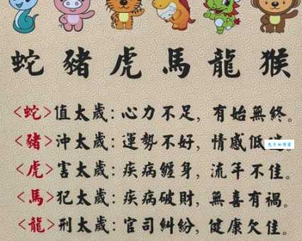 独行天下打一个生肖，这个词语背后有什么特殊含义？