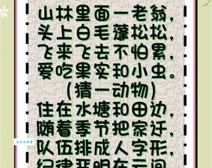 浮文套语打一动物，猜猜看这到底是什么神秘动物？