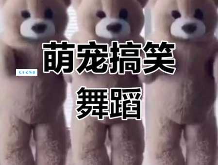 眉飞色舞打一动物，揭秘表情丰富的小可爱！