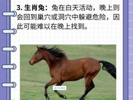 溜干二净是指什么生肖？别猜了，我来告诉你！