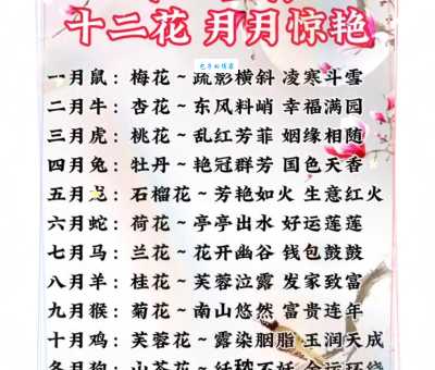 花好月圆是什么生肖？一篇帮你完全搞懂！