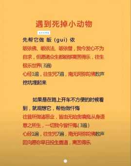 小身隐在三当家指什么动物?看懂这个不再懵!