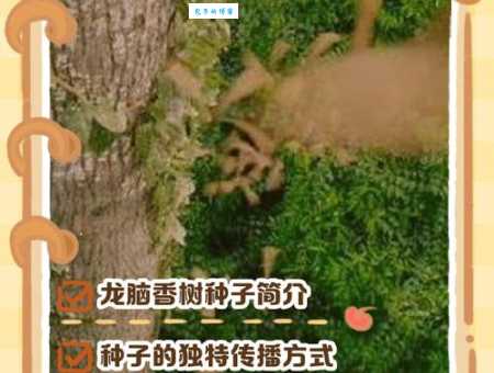 揭秘树大招风打一动物正确答案，让你恍然大悟！