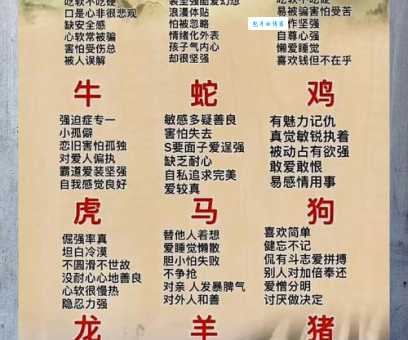 一干二净指什么生肖？一起来揭秘这个有趣的说法！