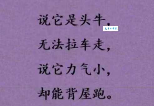 “说长道短打一动物”谜底公布，你猜对了吗？