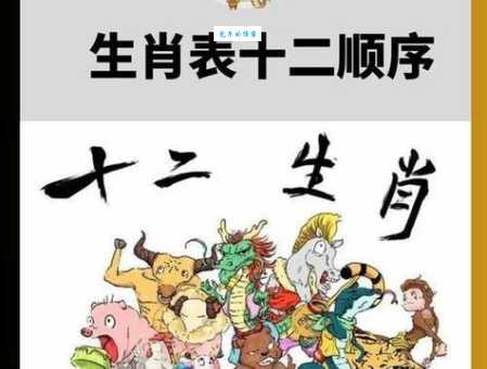 一五一十成九码打一个生肖的最新解析！生肖谜底揭晓！