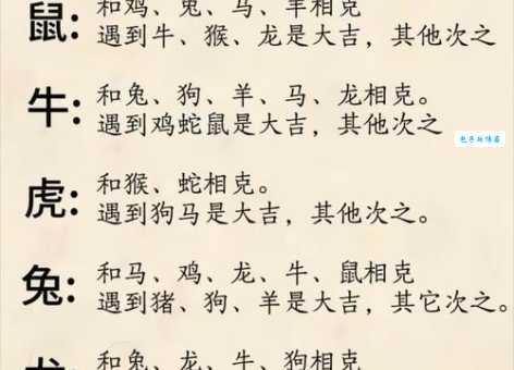 一七退五定今期是什么生肖?老彩民告诉你正确答案!