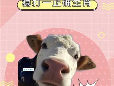 邑犬群吠打一正确生肖是哪个？高手教你轻松猜对！