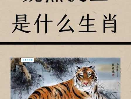 身强力壮打一准确生肖的谜底解析与最佳答案