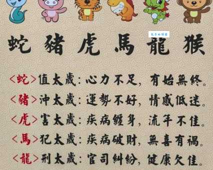 江山如画打一个生肖谜题揭晓：答案竟是它！