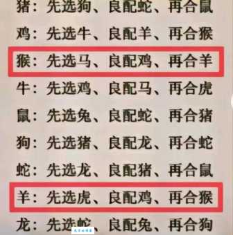 隔三差五是什么生肖?不用猜看完你就知道是啥