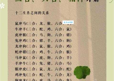 哪个生肖后继有人最正确？掌握这几点轻松旺子孙！