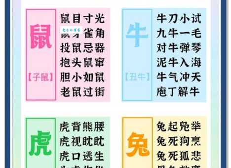 釜底抽薪打一生肖到底是什么动物？答案揭秘！