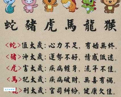 四双红梅指什么生肖？这几个特征暗示了真相！