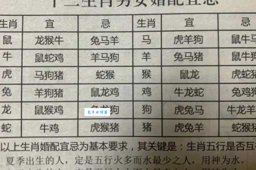 花飞蝶舞指什么生肖？用排除法快速锁定答案！