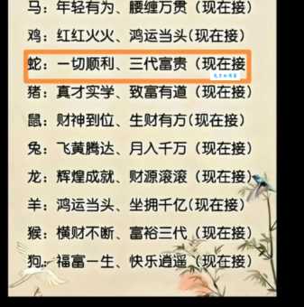 珠光宝气一身新指什么生肖？马上揭晓答案别错过！