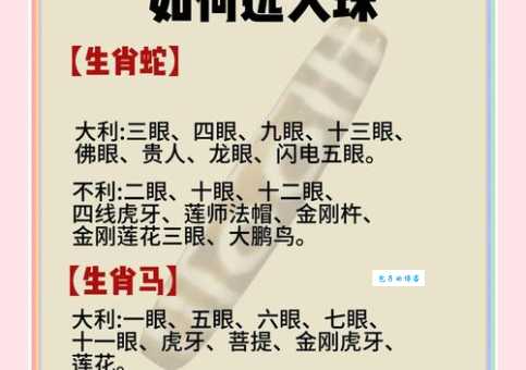 珠光宝气一身新指什么生肖？马上揭晓答案别错过！