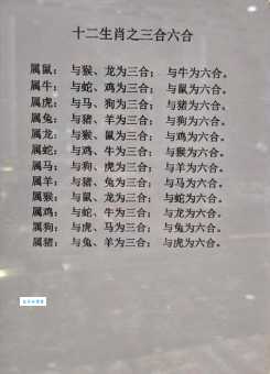 弱肉强食打一准确生肖是哪个？高手教你轻松猜对！