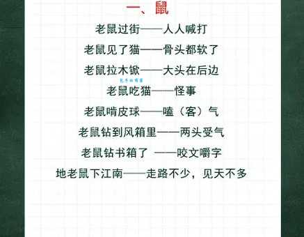 街坊邻居是什么生肖？一起来看看你家邻居的属性！