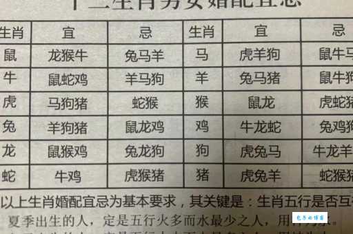 秀外慧中把特藏指什么生肖？资深命理师深入解析！