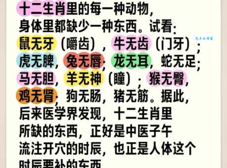 自讨没趣是什么生肖的代名词？原来是说的这个生肖！