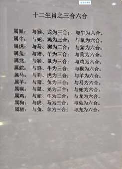 长长耳朵四条腿是什么生肖？这几个特征帮助你分辨！