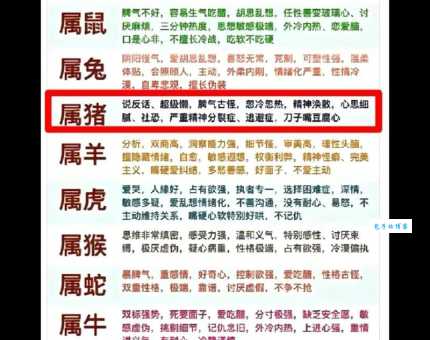 山里人家猜一个生肖?很多人会误解的正确答案