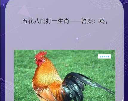 关门打狗是什么生肖？老一辈人一眼就能看出来！