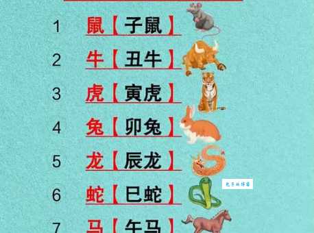 琳琅满目是什么生肖的习性？揭秘这个生肖的真实面貌