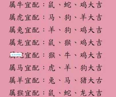 寻找唯唯绸否最正确生肖:掌握生肖配对的奥秘