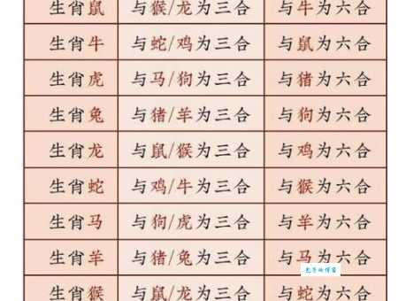 才高八斗打一生肖的答案是什么?快速学会准确判断!
