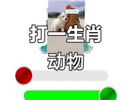 妙手回春打一生肖哪个动物?猜谜达人分享猜谜技巧!