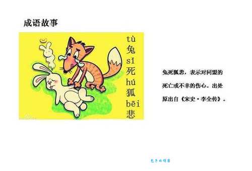 兔死狐悲究竟是什么生肖?为什么会有狐狸感到悲伤?