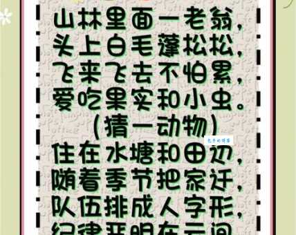 天罗地网打一精确生肖是什么动物？生肖谜语解析来了