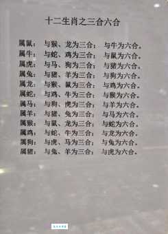 当头棒喝打一生肖：生肖谜团的终极揭晓