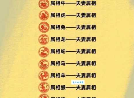 亲密无间的生肖是哪个?专家解读属相间的秘密!