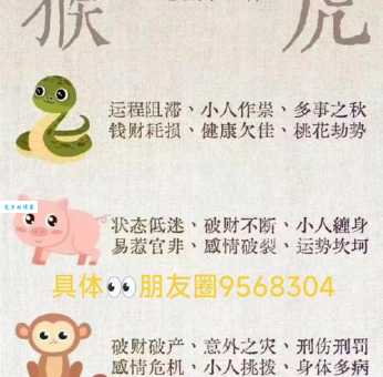 山外有山天外天是什么生肖？生肖达人给你最靠谱答案