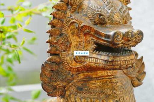 攀龙附凤指什么生肖?教你快速掌握生肖知识!