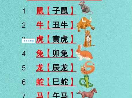 立定脚跟打一正确生肖打一生肖，这生肖到底指的是哪个？