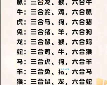 休戚与共是什么生肖？生肖专家教你快速判断