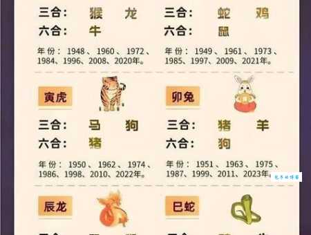 飞黄腾达打一最佳生肖怎么猜？教你快速找到正确答案！