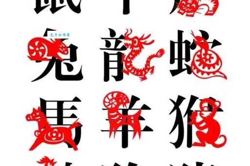 揭秘花飞蝶舞是什么生肖？原来是这个生肖最爱