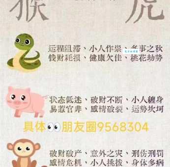 悄无声息的动物生肖是谁？这些生肖的人看起来最神秘莫测