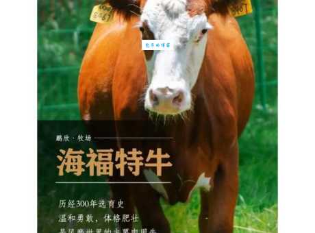 听说牛皮大王是什么生肖？看完你就知道哪个动物最厉害！