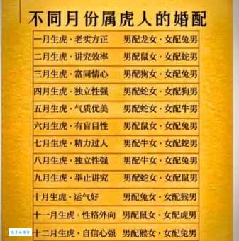 高高在上是哪个生肖的性格？是不是属龙或属虎？