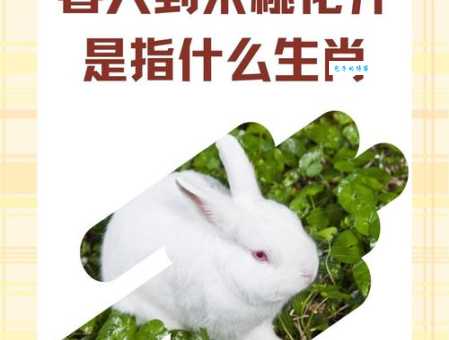 春色破晓明是什么生肖？简单几步帮你找出真相！