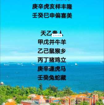 揭秘天地良心任天游是什么生肖？看完你就全明白了！