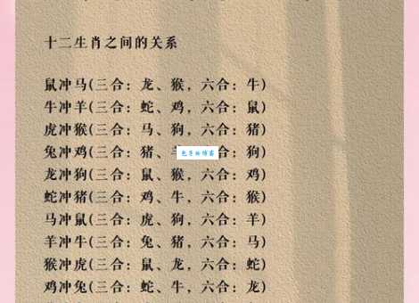 道道地地什么生肖最勤奋？努力就有好回报！